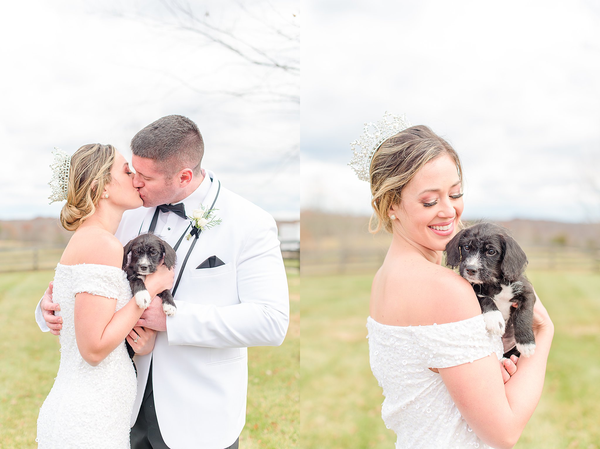 Bride and Groom kissing over black puppy they're cuddling at Mount Ida Farm wedding
