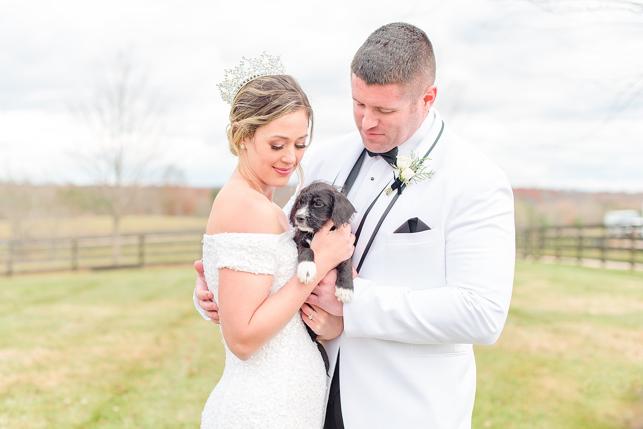 Bride and Groom cuddling black puppy during Mount Ida Farm wedding