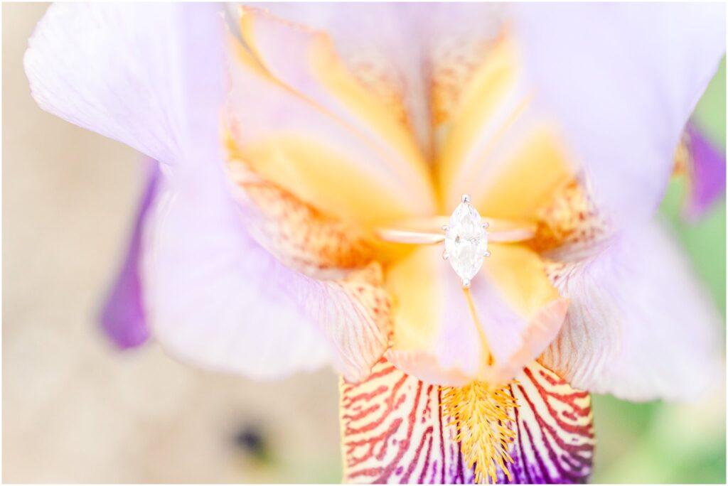 Coxhall Gardens spring engagement session